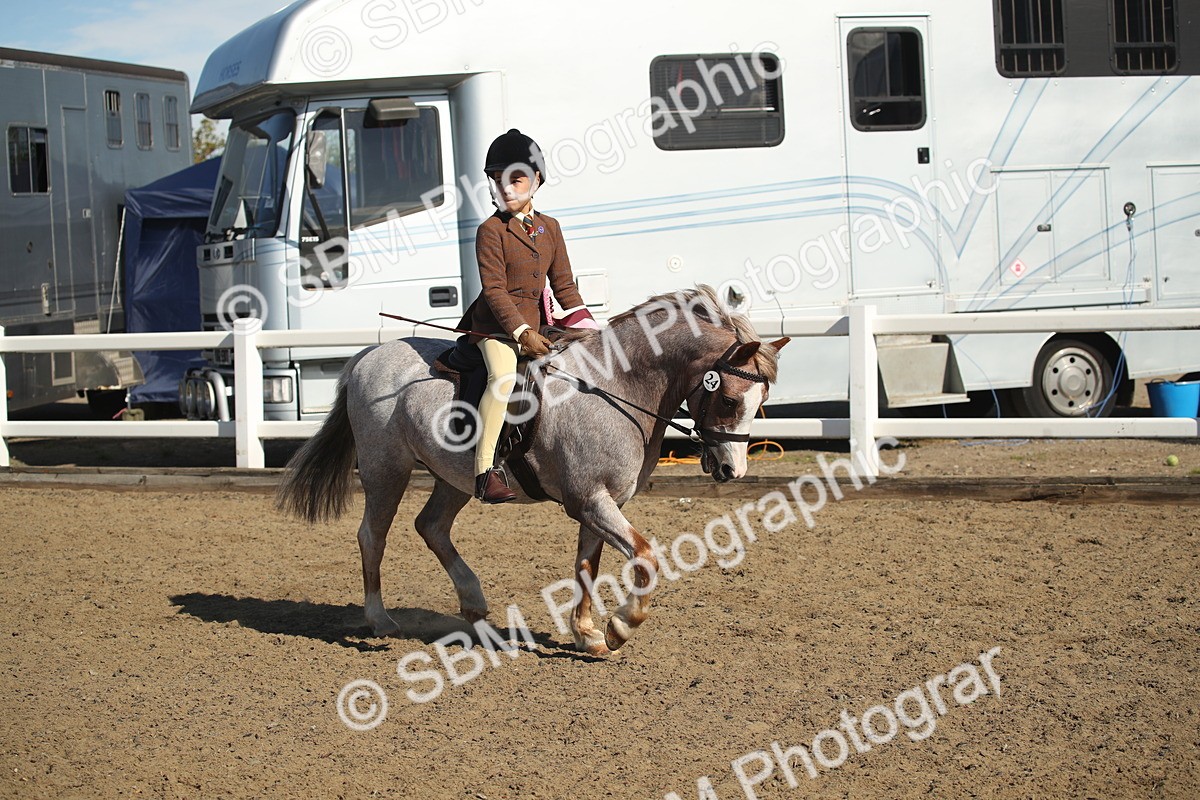 SBM_12808 - Class 504b - Junior Working Veteran - 40cm (20+)