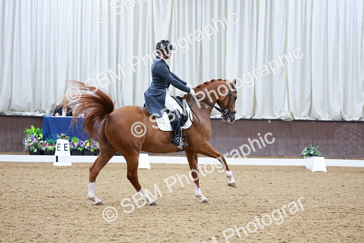 SBM_021520 - Class 14 - FEI Grand Prix - 18.52-19.37