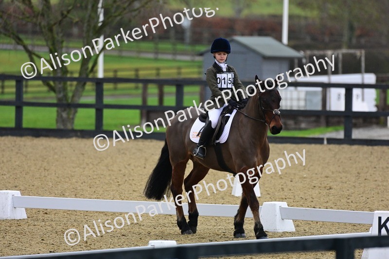 20260125-0607 - Class 9b - Walk Trot Unassisted