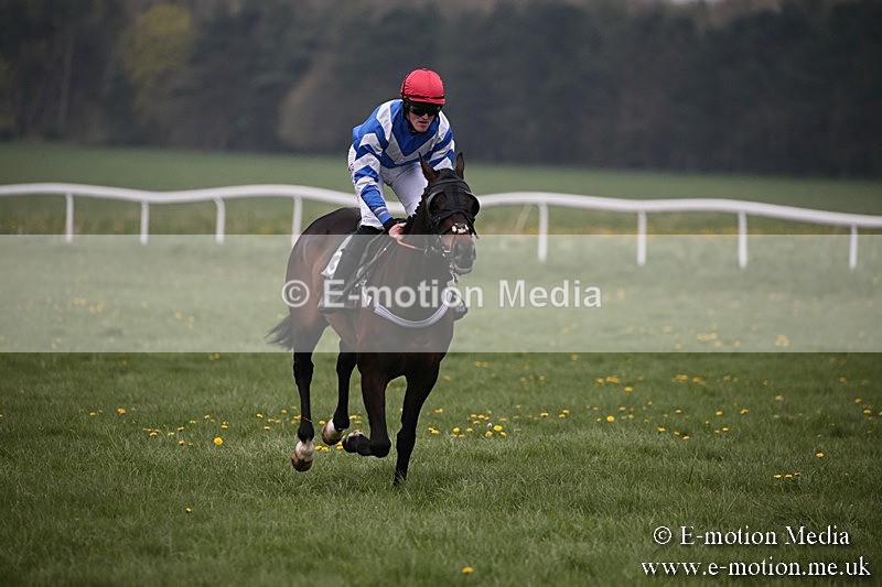 PtP 210418 66 - South & West Wilts Point-to-Point Larkhill 21/04/18