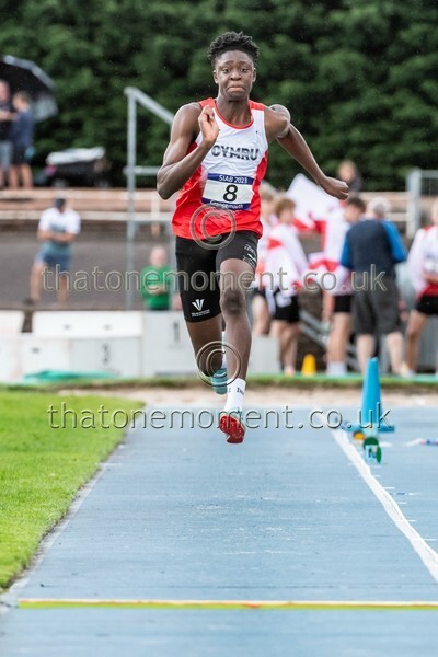 SIAB23-528827 - Field Male Set Two