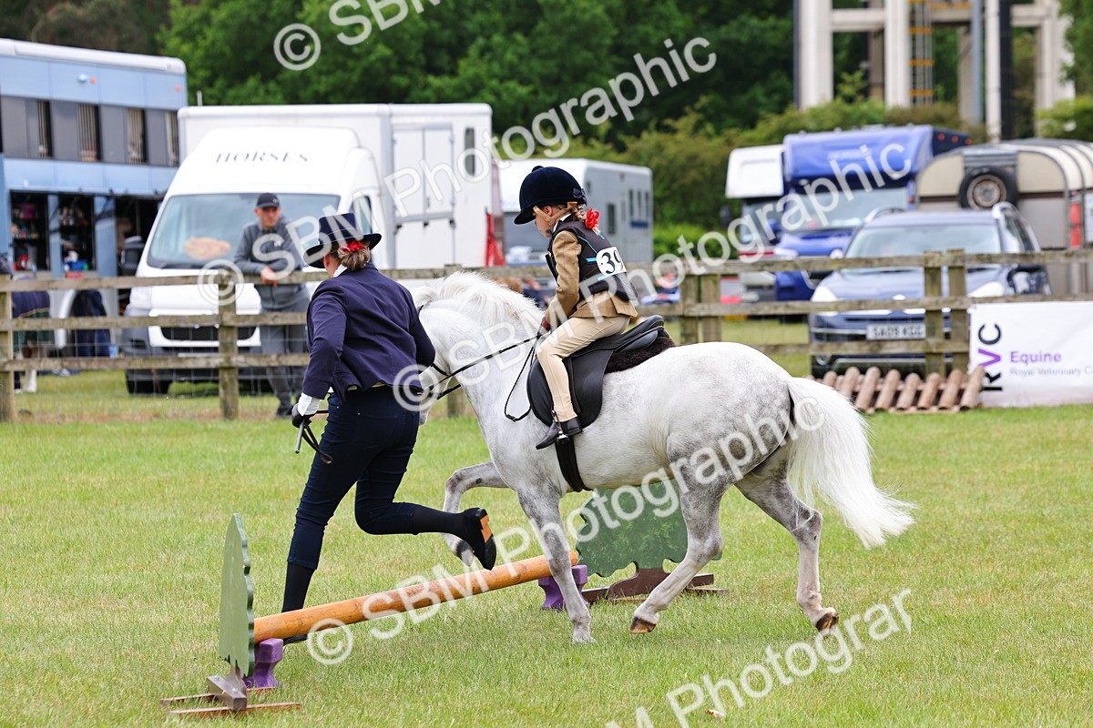 SBM_08130 - Class 42-43 - LIHS BSPS Heritage Working Sports Pony