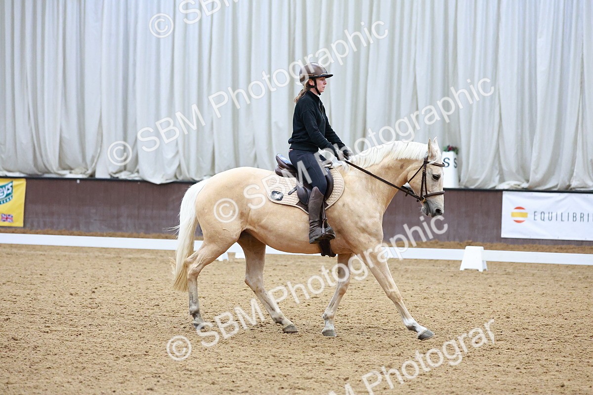 1I0A0646 - Class 3-6 - Prelim 1-Novice 2