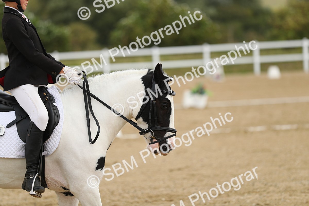 SBM_016342 - Class 13 - Novice 23 - 11.25-12.35