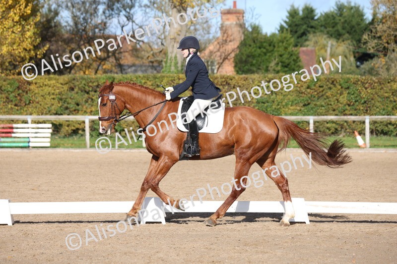 20251102-0712 - Class 4 - Novice 6