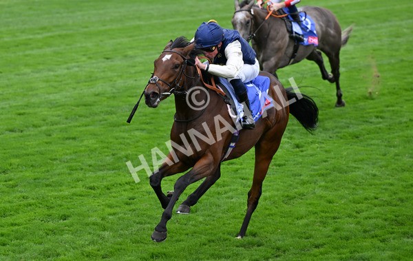 210825-007 Royal Fixation - Race 1 1.50pm Sky Bet Lowther Stakes