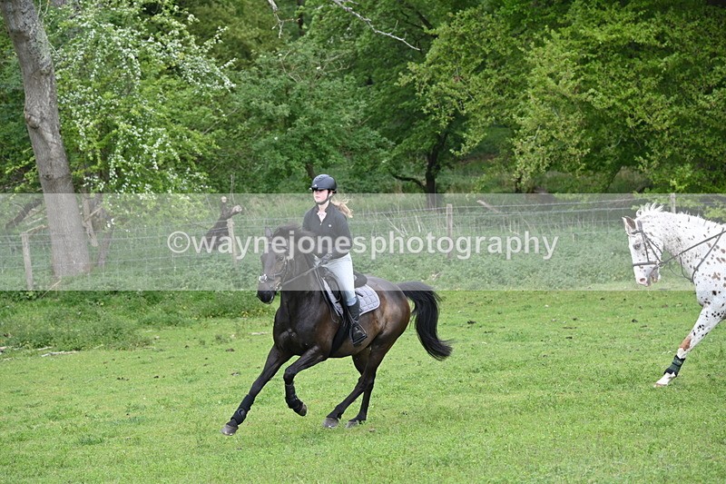 WJ6_2863 - A Camera