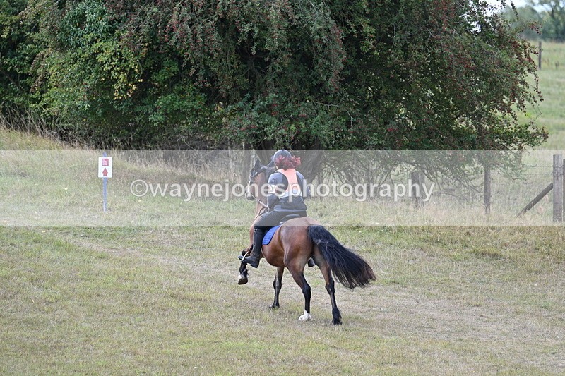 WJ7_5201 - Time 11:22 to 11:41