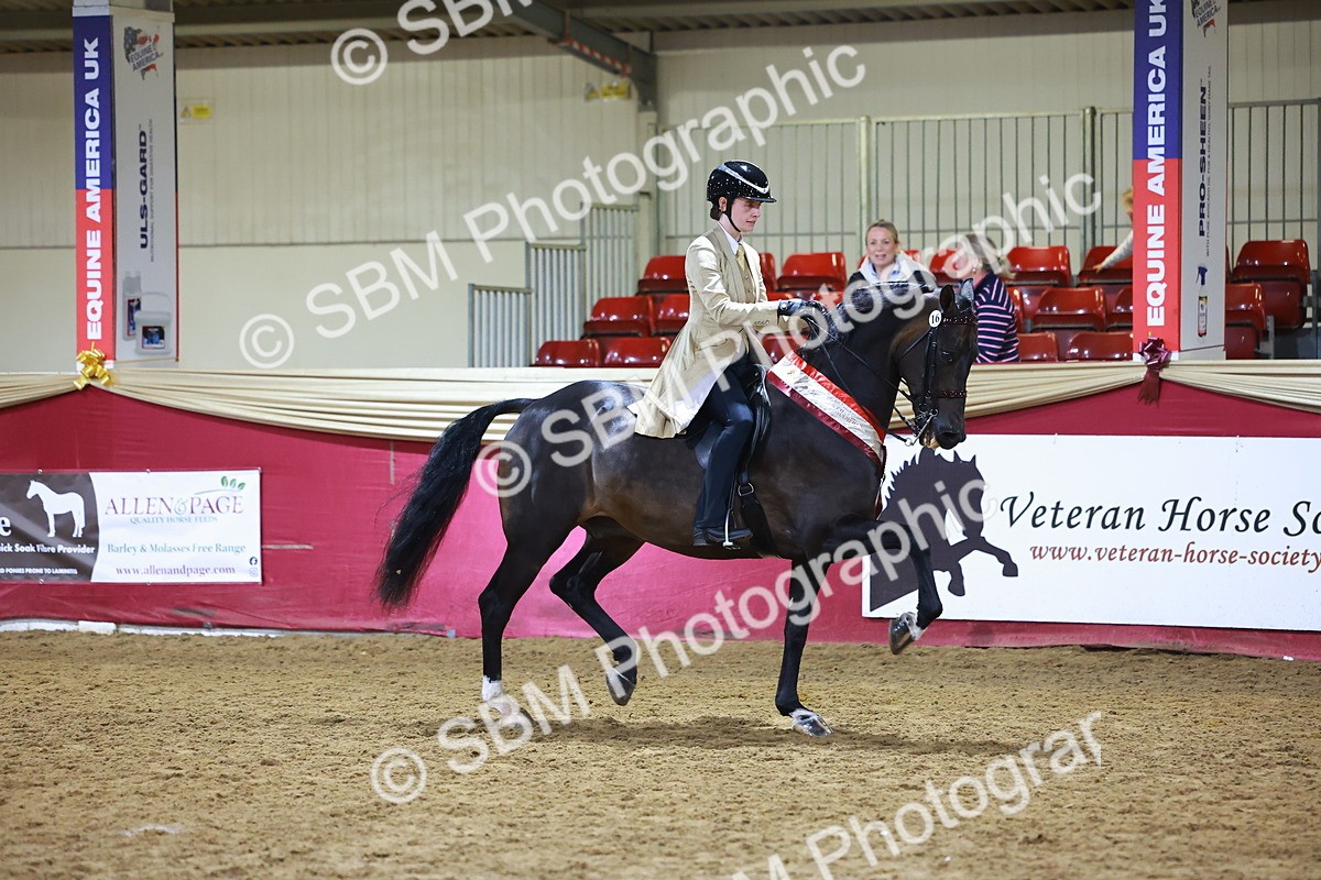 SBM_15572 - Class R - Veteran Champ