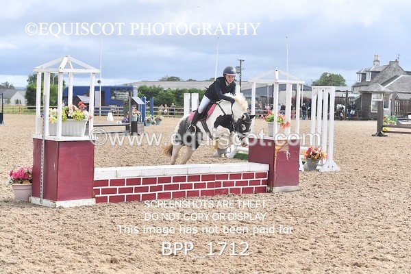 BPP_1712 - DERBY CLASS 4 - 50CM