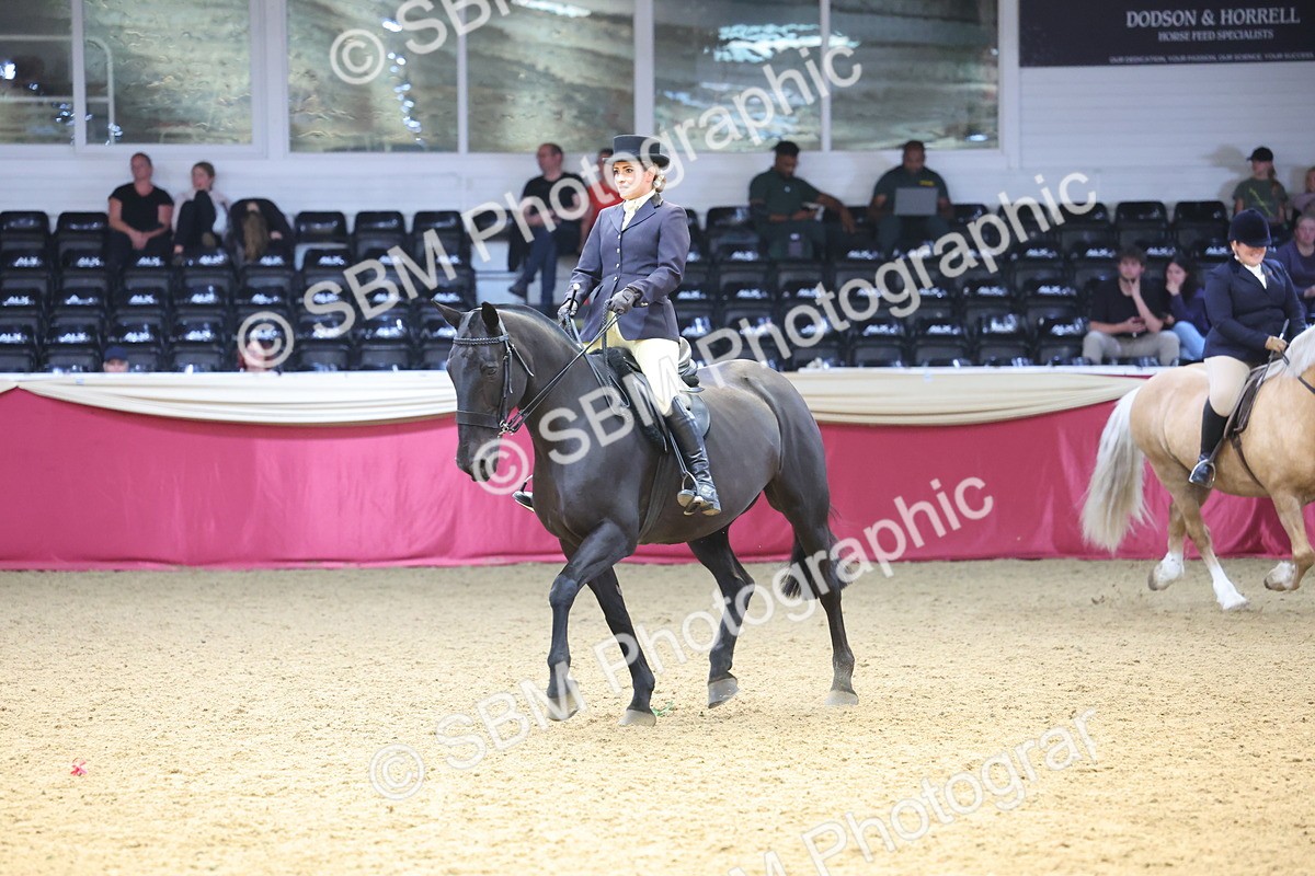 SBM_23922 - Class 905 - Supreme Final - Ridden Veteran