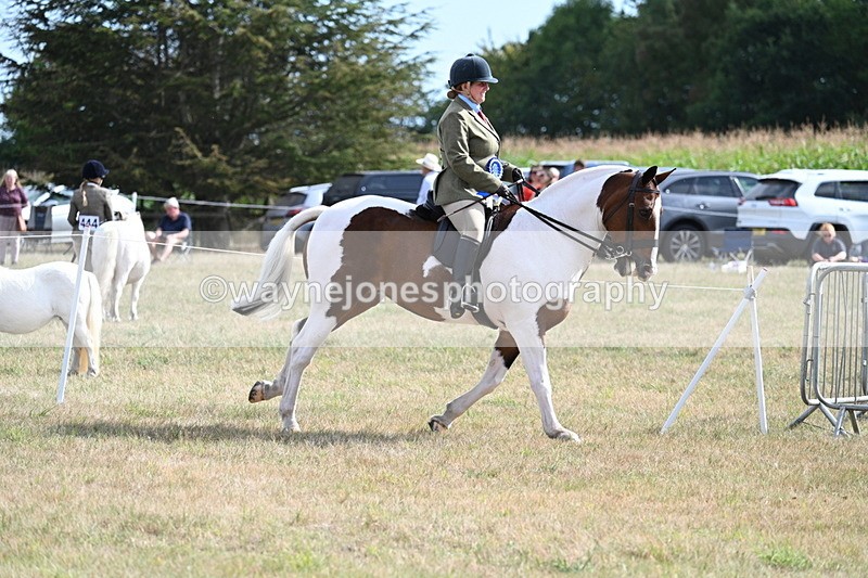 WJ7_7485 - Class 14 Ridden Coloured