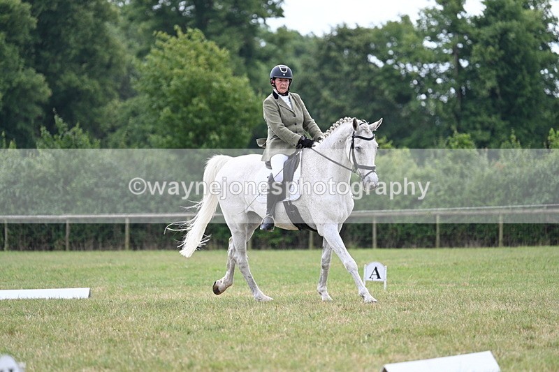 WJ7_5089 - Time 11:22 to 11:51