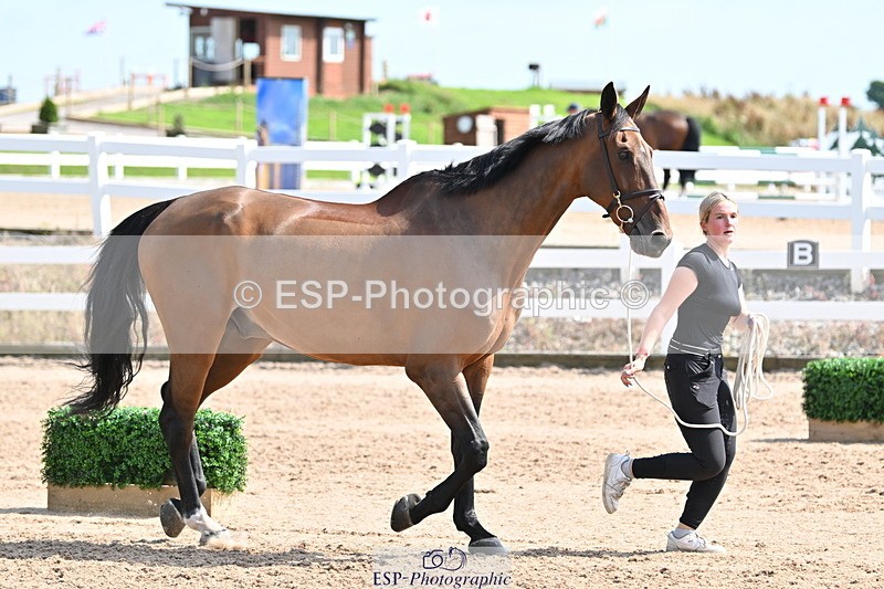 240717A-154514-03039 - Trot Up 3pm to 4pm