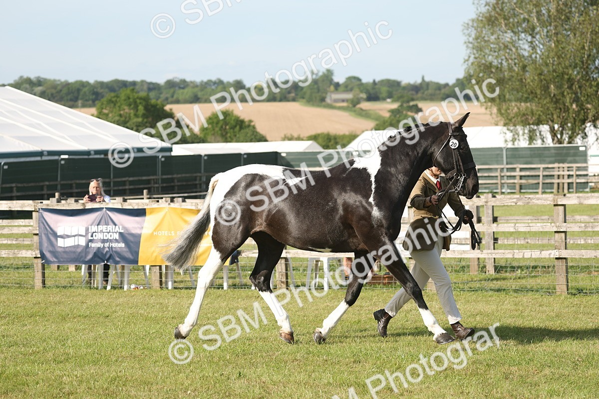 SBM_10425 - Class 33-38 - SSADL RIHS Qualifiers