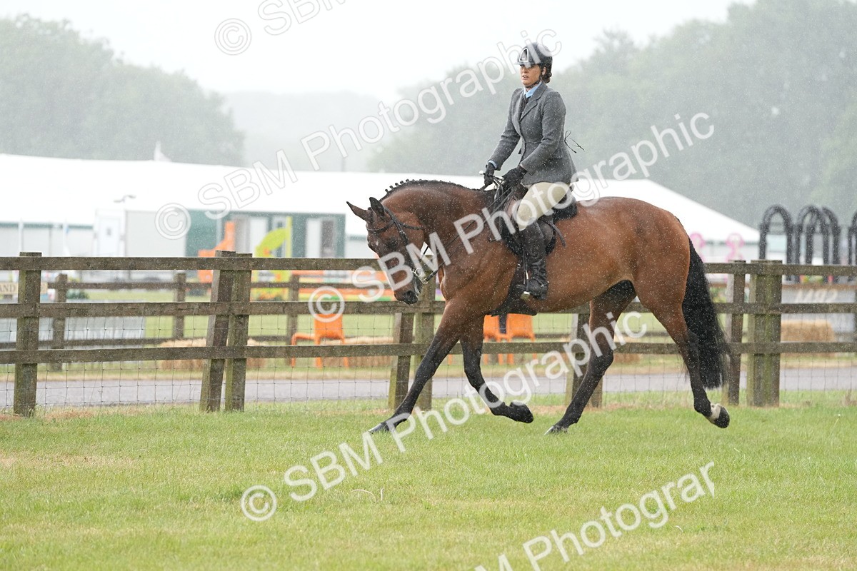 SBM_12666 - Class 97-98 - LIHS BSHA Rising Star Working Show Horse Hunter