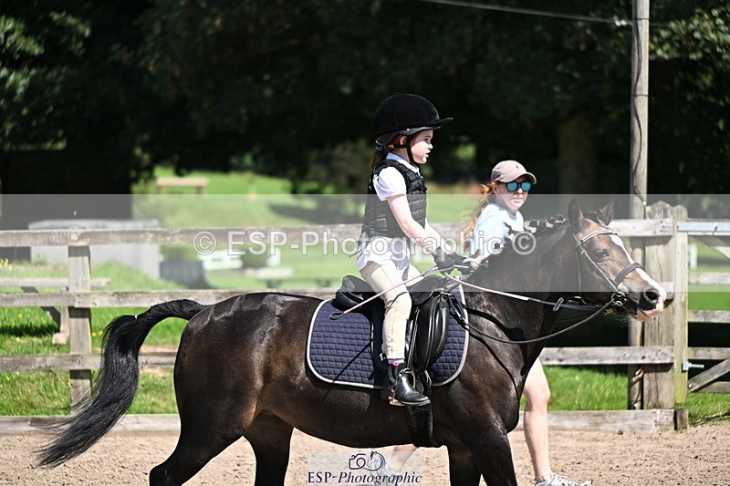 240729B-114037-02489 - Showjumping Competition