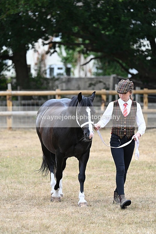 WJ7_8079 - Class 4 Prettiest Mare up to 14.2hh