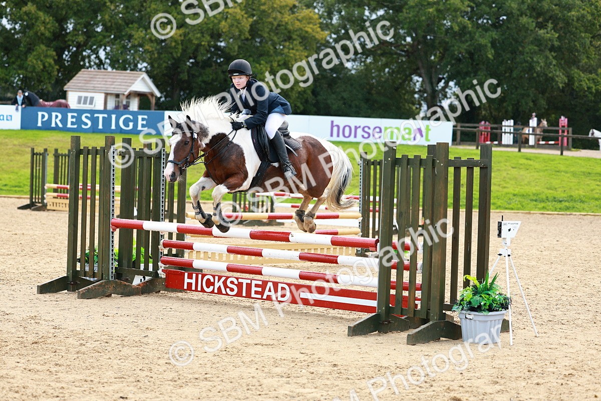 SBM_37742 - J39 - Senior Horse & Pony 85cm Championship