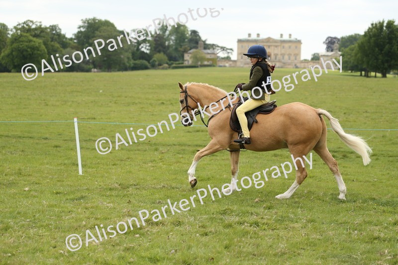 20250517-1141 - Class 21 - Novice Working Hunter