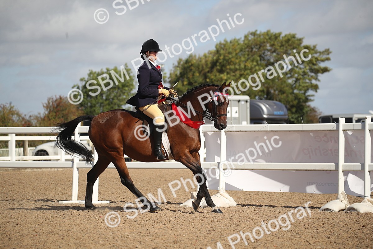 SBM_22882 - Class 602 - 2026 Area - Ridden Veteran