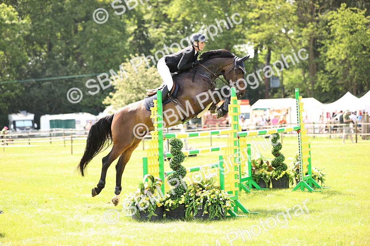 SBM_03213 - Class 201 - British Horse Feedds Speedi Beet HOYS Grade C