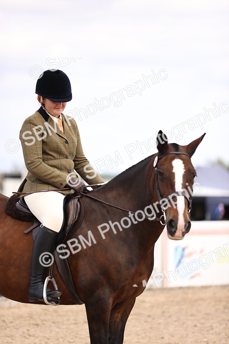 SBM_16148 - Class 420 - Horse-Pony Judge would most like to take home (IH or Ridden) Jnr