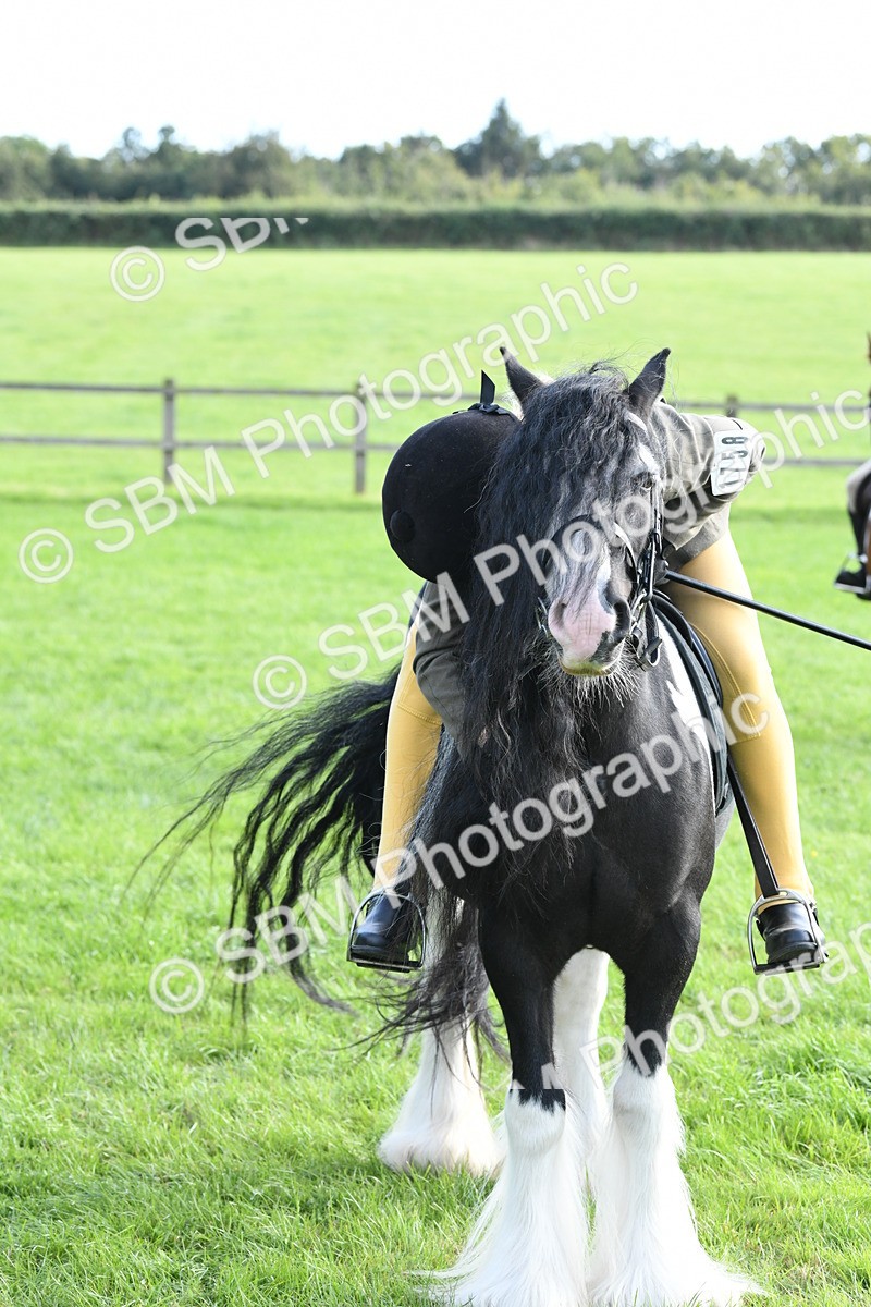 SBM_52035 - S21 - Novice & Newcomers 1st Ridden Pony