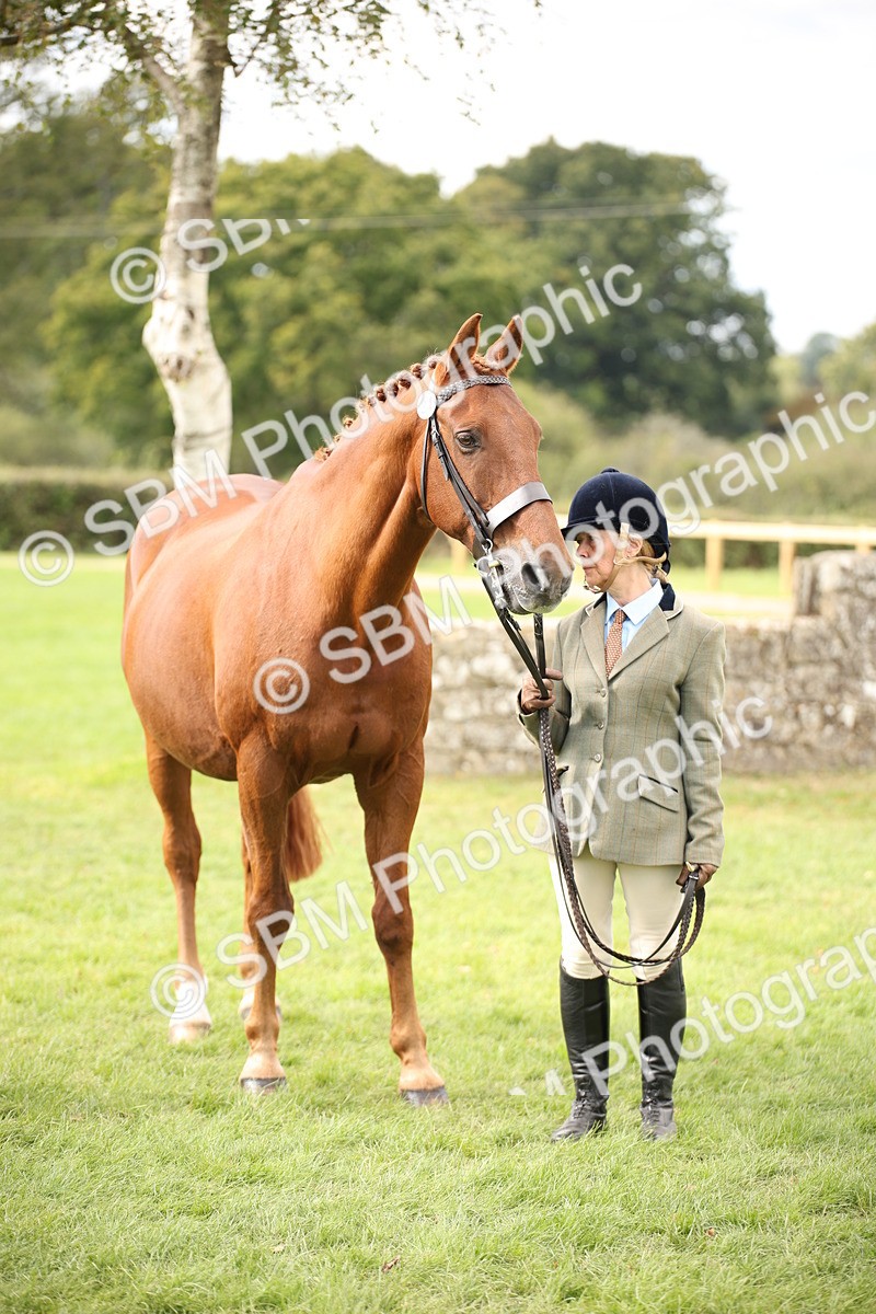 SBM_46414 - S25 - Mature Veteran In Hand