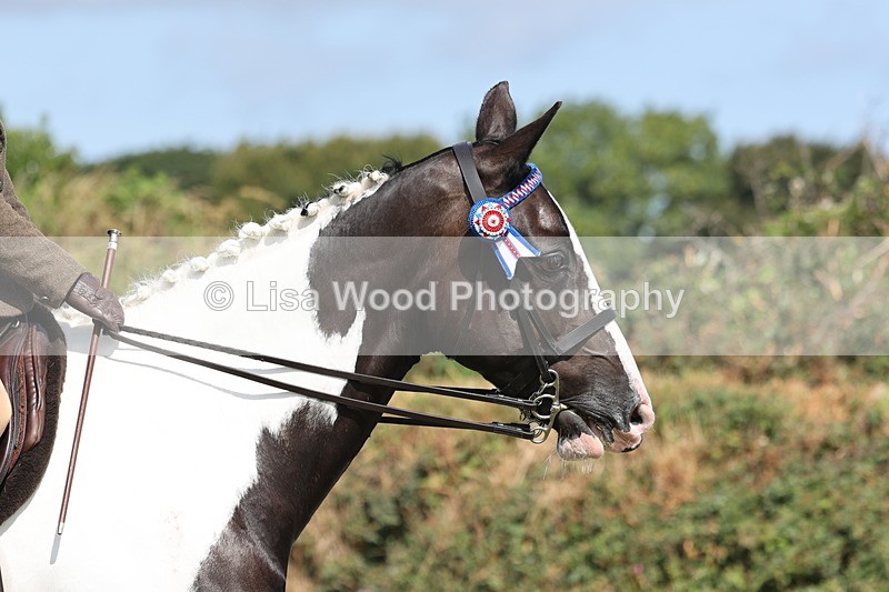 JPP_1077 - Class 17: Cornish Combination Open
