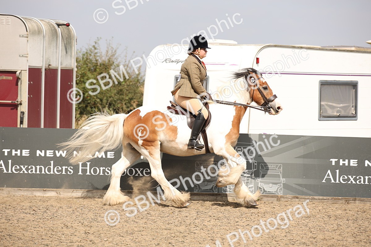 SBM_14280 - Class 407b - Working Veteran 60cm (20+)