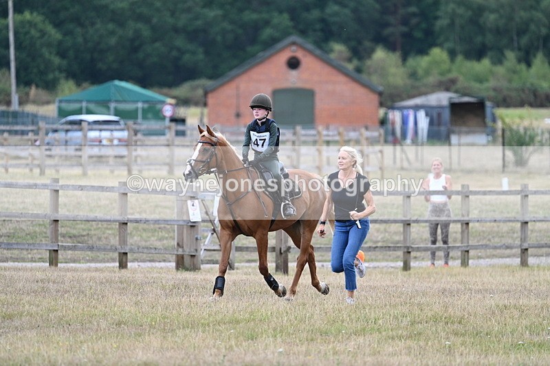 WJ7_1642 - 60cm Time 13:20 to 14:27