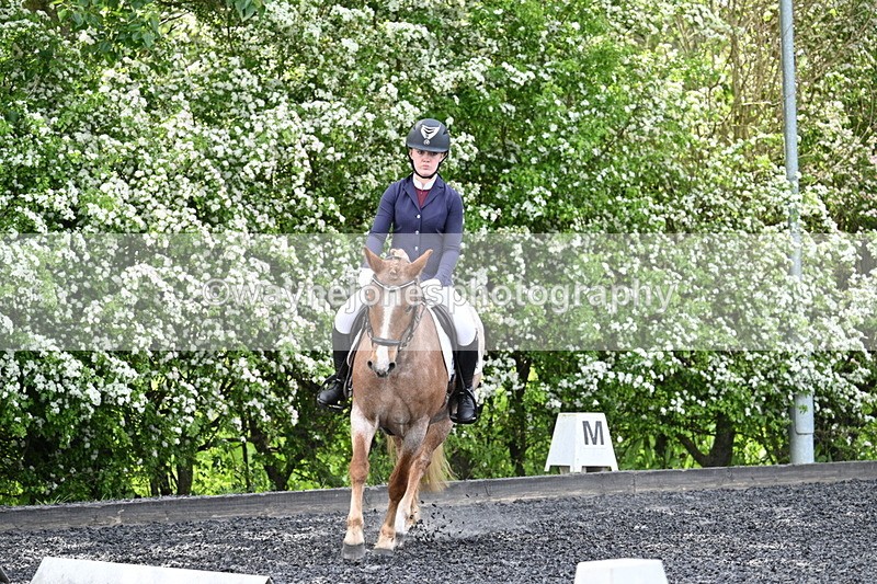 WJ7_8113 - Time 10:11 to 10:27