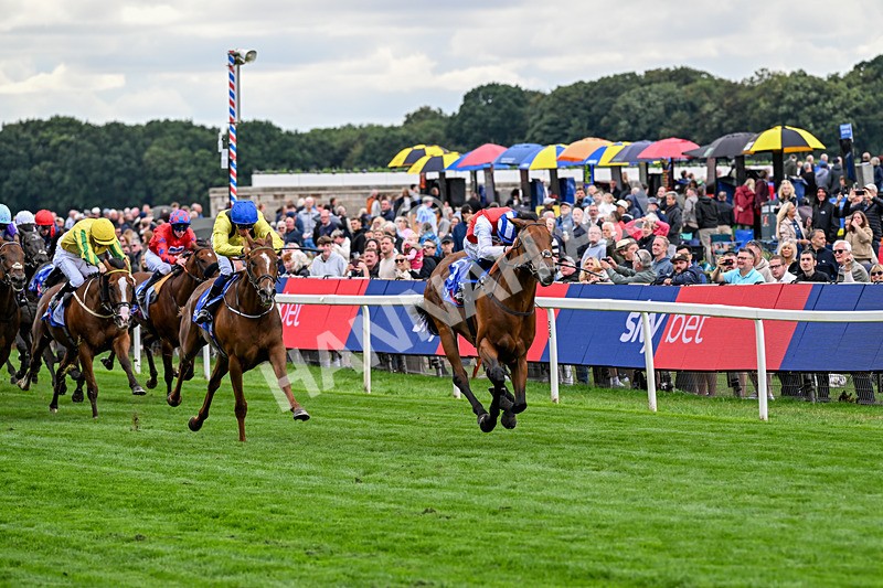 210826-Race 1-Blue Courvoisier-4953 - Race 1 13.50pm Sky Bet Mile Handicap