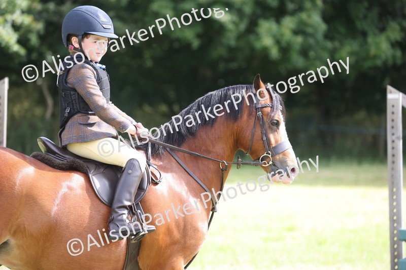 20260614-0491 - Class 20 - Beginners Working Hunter Pony
