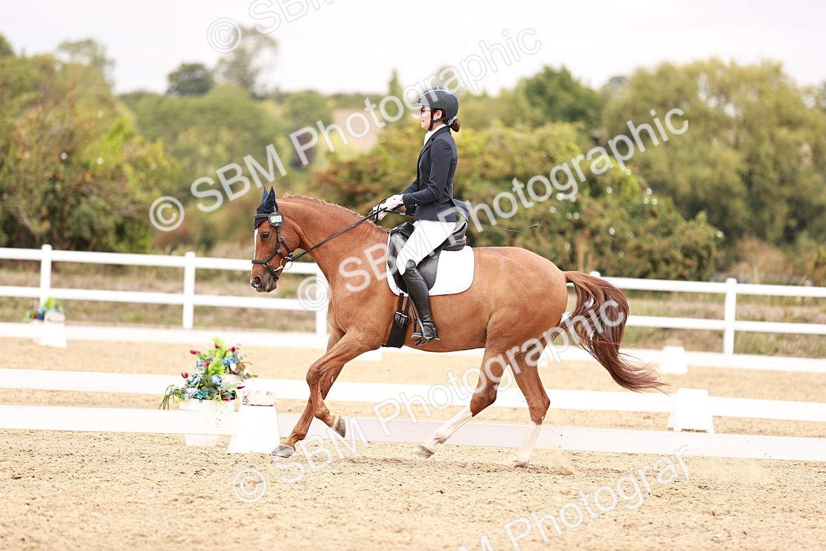 SBM_019298 - Class 20 - Medium 5