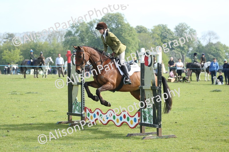 20260426-0089 - Class 13 - Rookie Jumping 50cm