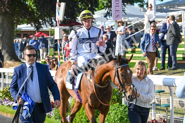 160525-Race 7-Delicacy-7552 - Race 7 5.30pm Yorkshire Equine Practice Handicap