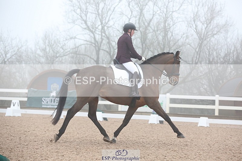 240217A-094232-00806 - 114-kelly.jewell-Juno.Watt