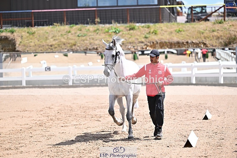 250716-124936-00182 - Trot Up 12.30 to 1.30