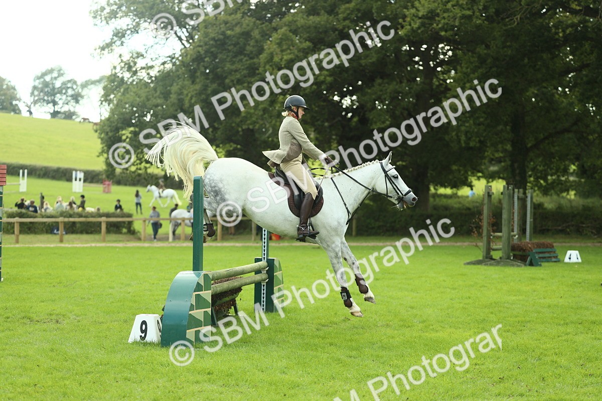 SBM_47997 - S32 - Novice & Newcomers Working Hunter