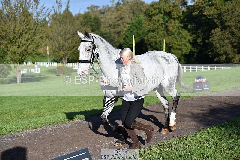 231022-100412-22223 - 474-MENELAUS-Elise.Washer-TrotUp+SJ