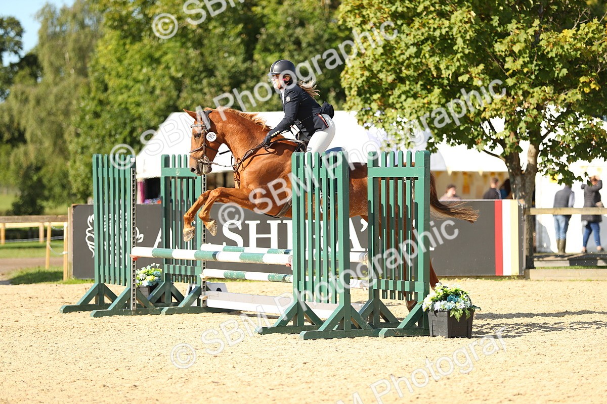SBM_16816 - J33 - Senior 75cm Championship