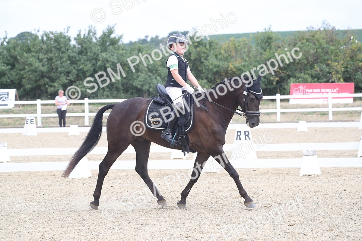 SBM_006741 - Novice 5 - 10.56-13.12