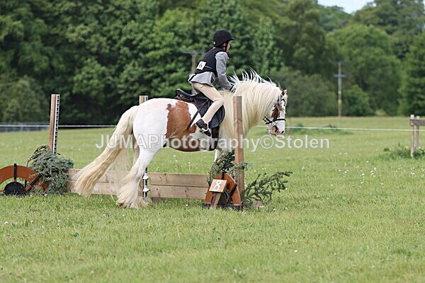 IMG_2459 - Working Hunter