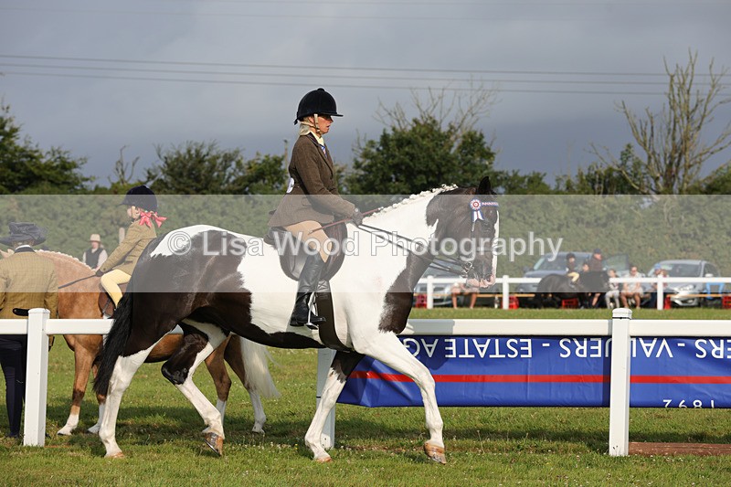 1X9A2837 - Class 25: Ridden Plaited Coloured Horse