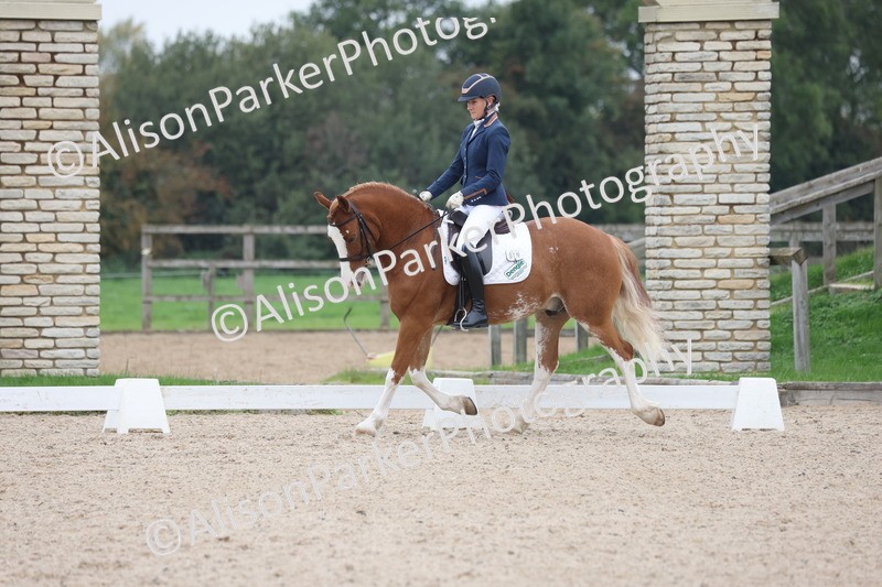 20251011-0346 - Class 3 - Prelim 2