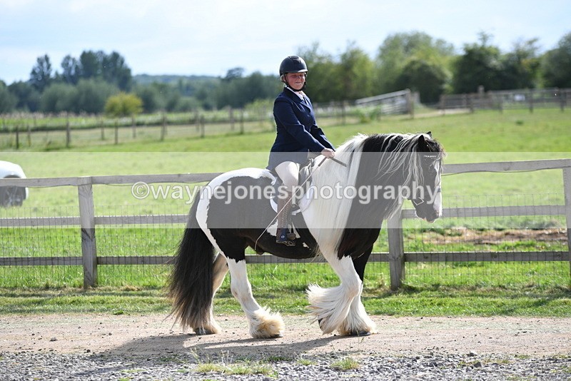 WJ5_7937 - Time 16:56 to 17:14