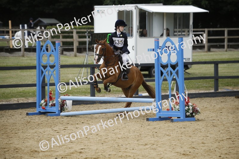 20250622-4004 - 50cm