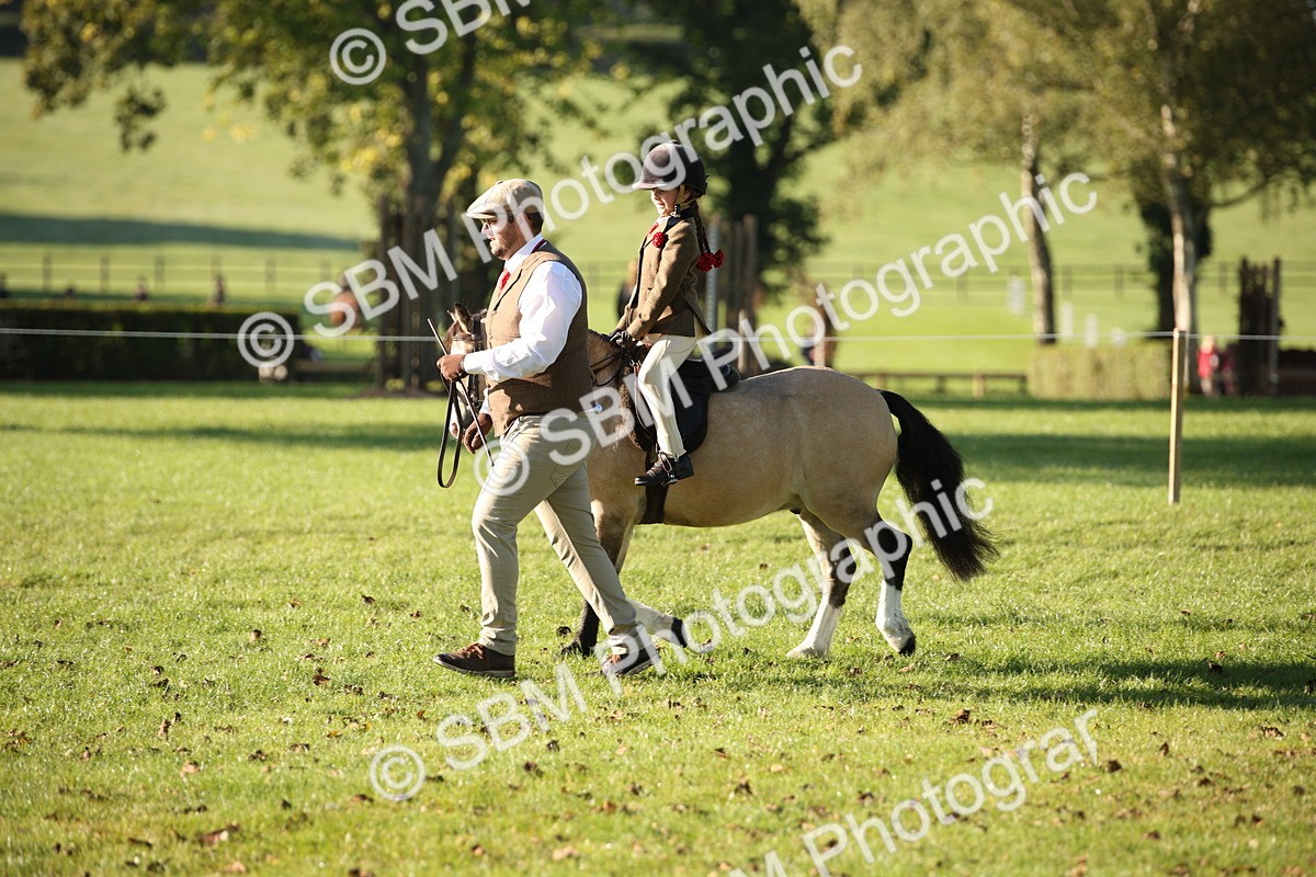SBM_34240 - S9 - Lead Rein Equitation